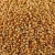Import SORGHUM from India
