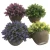 Import Source factory hot-selling Potted plants decorated with artificial bonsai flowers from China
