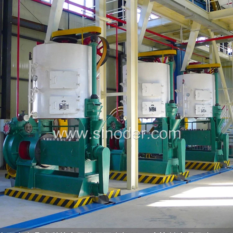 Special discount avocado cold press oil machine south africa avocado oil making plant equipment