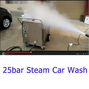 steam cleaner car wash 20bar car steam wash