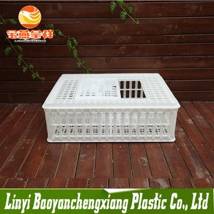 Strong Plastic Rectangular Quail and Dove Transport Coop for Sale