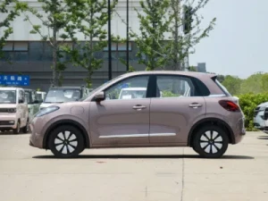 The New Norm New-and-Used Wuling-Bingo Light Enjoyment Small Pure Electric Car