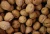 Import Top Grade Thin-skin Raw Walnuts with shell from Austria