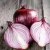 Import Top Grade Wholesale Price Fresh Red Onions Fresh Yellow Onions in Bulk for Cooking from China