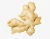 Import Top Quality Fresh Ginger from India