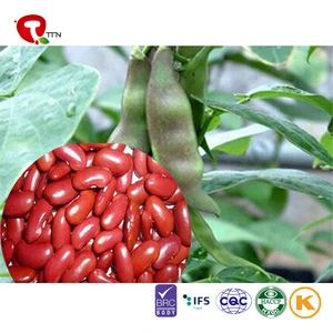TTN Qualified Production Red Kidney Bean