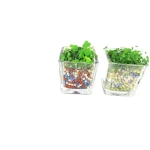 Water Absorbent Polymer Beads