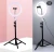 Import Wholesale beauty photographic 22 inch tiktok led selfie ring light with 1.8m adjustable tripod from China