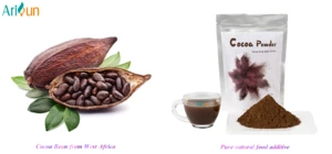 Wholesale Bulk Factory Adequate Supply Cocoa Powder 25Kg