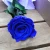 Import Wholesale Eternal Flower Preserved Rose Long Stem Rose Preserved from China