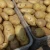 Import wholesale Fresh Irish potato product from Ukraine