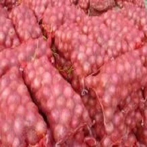 Wholesale Fresh Onion/Yellow Onion/Red Onion For Ready Supply