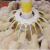 Import Wholesale High Quality High Economic Efficiency Cheap Poultry Feeder Equipment from China