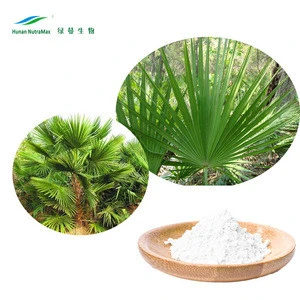 Wholesale Price 25% Palm Fatty Acid Saw Palmetto Extract For Capsules