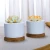 Wholesale Round White Mini 2.95 inch Ceramic Flower Planter Pot with Bamboo Tray