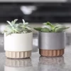 wholesale unique indoor modern tabletop decorative planter ceramic plant pots