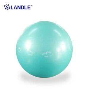 Wholesale yoga ball with pump name brand exercise ball