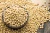 Import Premium Grade Soybeans for Export – Non-GMO / GMO Options from Kenya