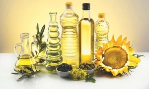 100% Crude & Refined Rapeseed Oil/ Oil For Sale