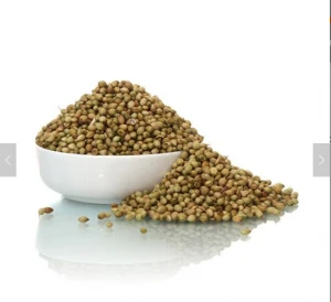 supply high quality organic coriander seeds for spice Online