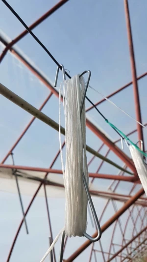 Galvanized tomato hook New tomato roller hook with low price Anti-aging Tomato Roller Hook For Greenhouse