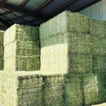 Affordable High-Quality Alfalfa And Timothy Hay For Animal Feed At Discounted Prices Best Animal Feeding Supplier