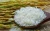 Import Rice Vietnam export wholesale rice price 2021 new crop soft texture sortexed 5% broken long grain white rice- Riz from Vietnam