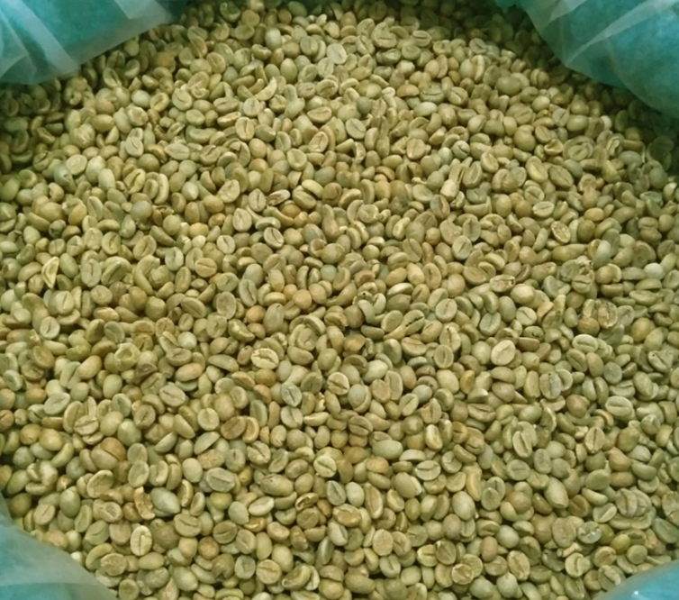 Beautiful view of Arabica Coffee Beans Ratings