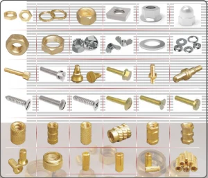 Fasteners & Moulding Inserts