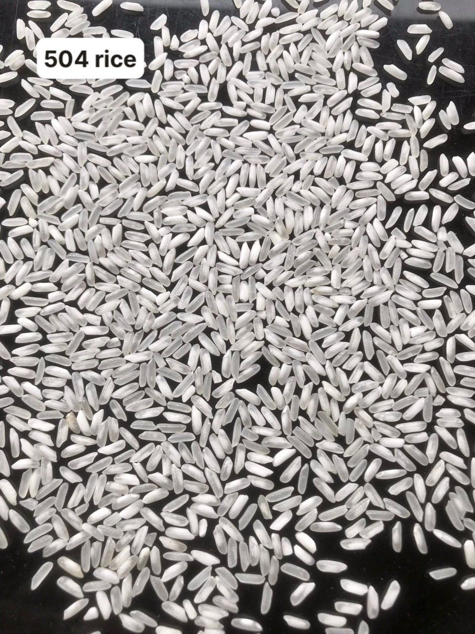 Buy 3. 504 Rice from Trong Tam Food Co., Ltd., Vietnam | Tradewheel.com