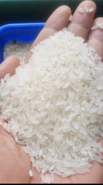Abusato Rice