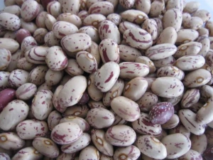 spackle kidney beans