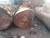 Import Sell TALI, Sapelli and OTHER WOODS SPECIES from South Africa