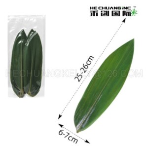25-27cm in Length Bamboo Leaves Indocalamus Leaves