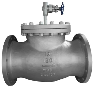 flanged swing check valve by pass