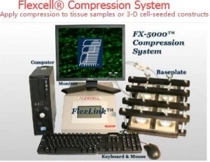 FX-5000C™ Compression System
