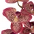 Import Natural real Touch Latex Moth Orchid Artificial Flower Butterfly Orchid for fake orchid decorative flowers from China