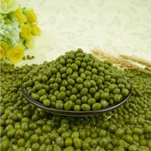 Green Whole Mung Beans for Sale, 50kg PP Bags