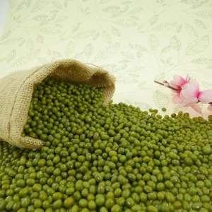 Green Mung Beans for sprouting ,small size,2.6mm-3.5mm,with high quality