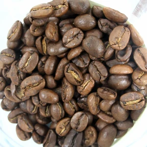Premium Arabica Coffee Export – Sourced from Kenya Plantations