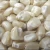 Import GRADE 1 Non GMO White and Yellow Corn/Maize from Tanzania