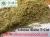 Import Cassia Alata Leaves & T - Cuts (Senna Alata) from India
