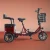 Import Three-wheeled 250W household human-powered bicycle tricycle from China