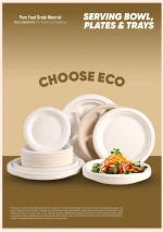 Eco Friendly Bages Plates Plastic Bowls Drinking Water Cups and Spoons Collection