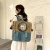 Import Cat Bag Space Capsule Pet Bag Backpack Canvas Foldable Breathable Portable Backpack from China