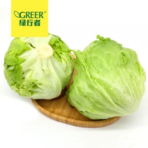 Fresh vegetables fresh lettuce