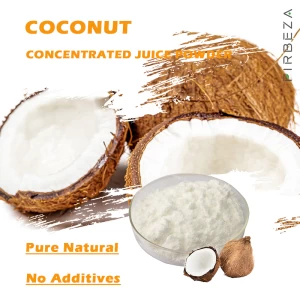 High Quality Spray Dried 30:1 Instant Coconut Juice Powder