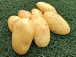 Egyptian Potatoes