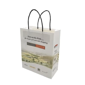FSC certification kraft paper bag for gift