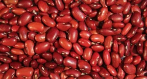Wholesale High Quality Dried Red Bean الفاصوليا الحمراء المجففة